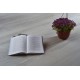 Виниловый пол SPC Floor Aberhof Prado 2996 Виниловый пол SPC Floor Aberhof Prado 2996
