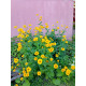 test2