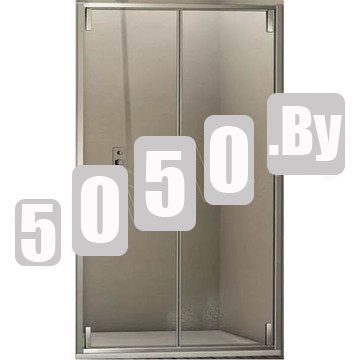 Душевая дверь WeltWasser WW900 900К2-90